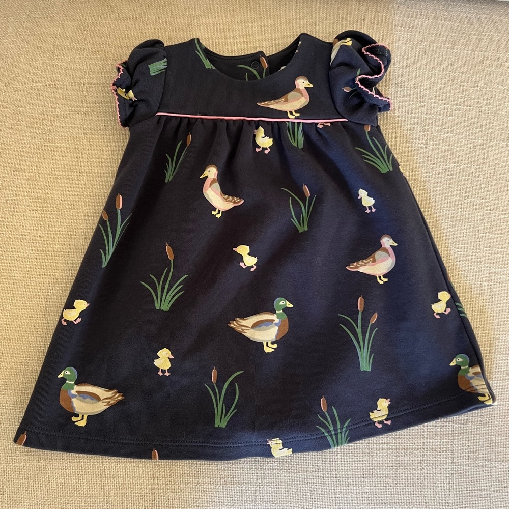 TBBC Holly Day Dress